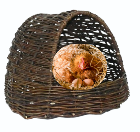 Proutěná kukaň pro slepice - snáškové hnízdo