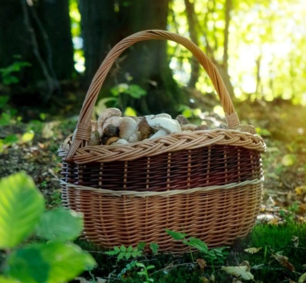 Proutěný košík hnědý pásek